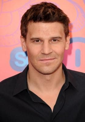 david boreanaz